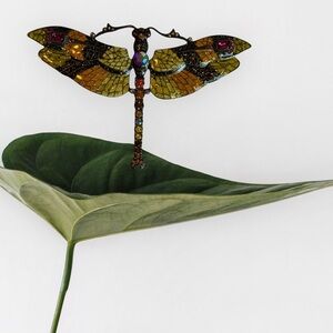 Colorful Dragonfly Brooch